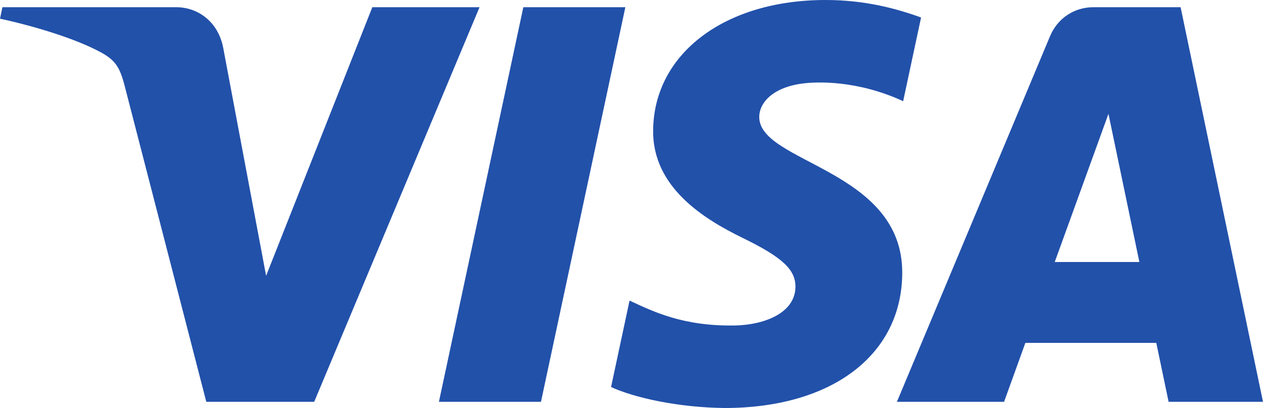 Visa Inc. Logo