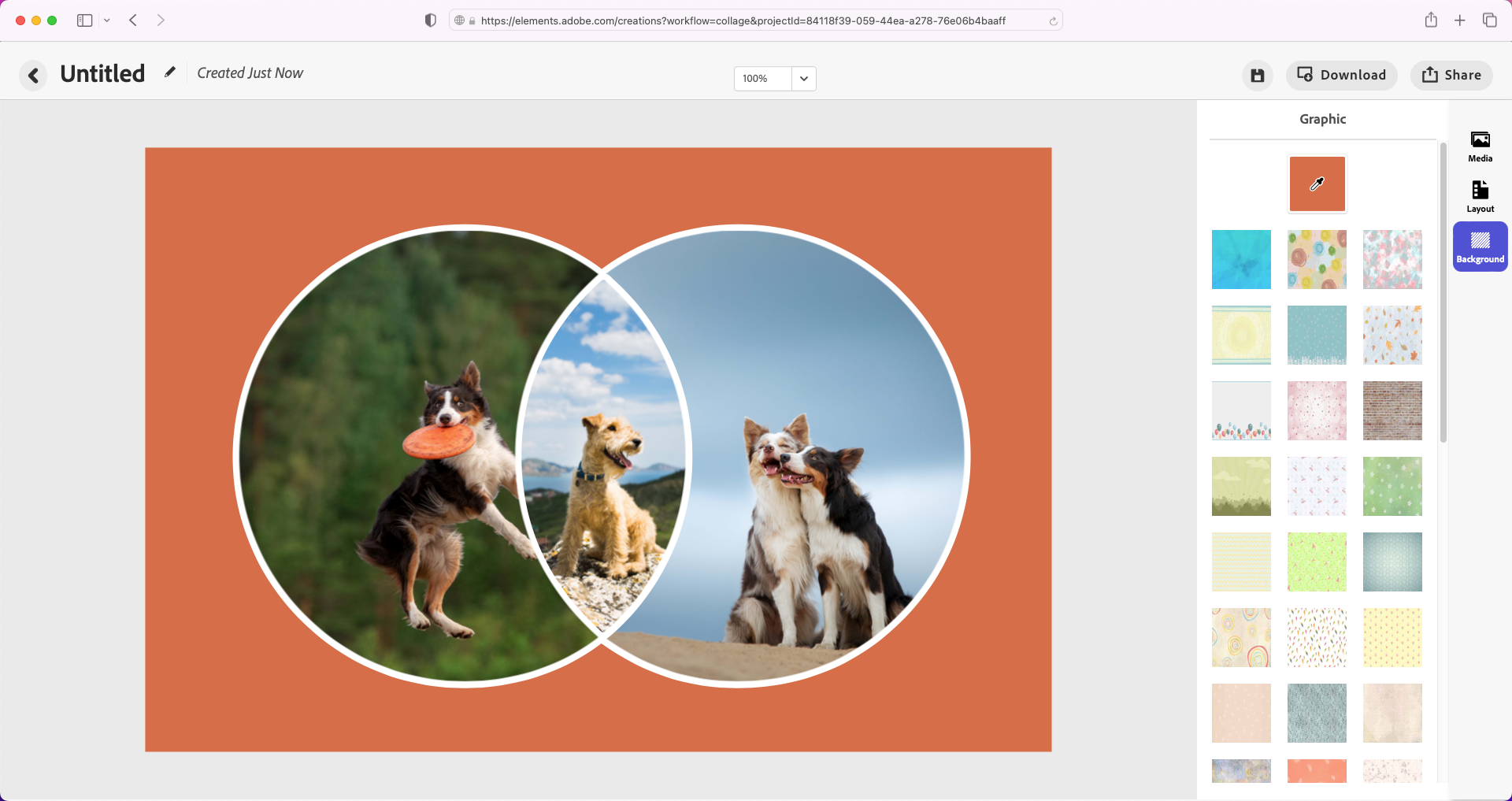 Adobe Elements 2023