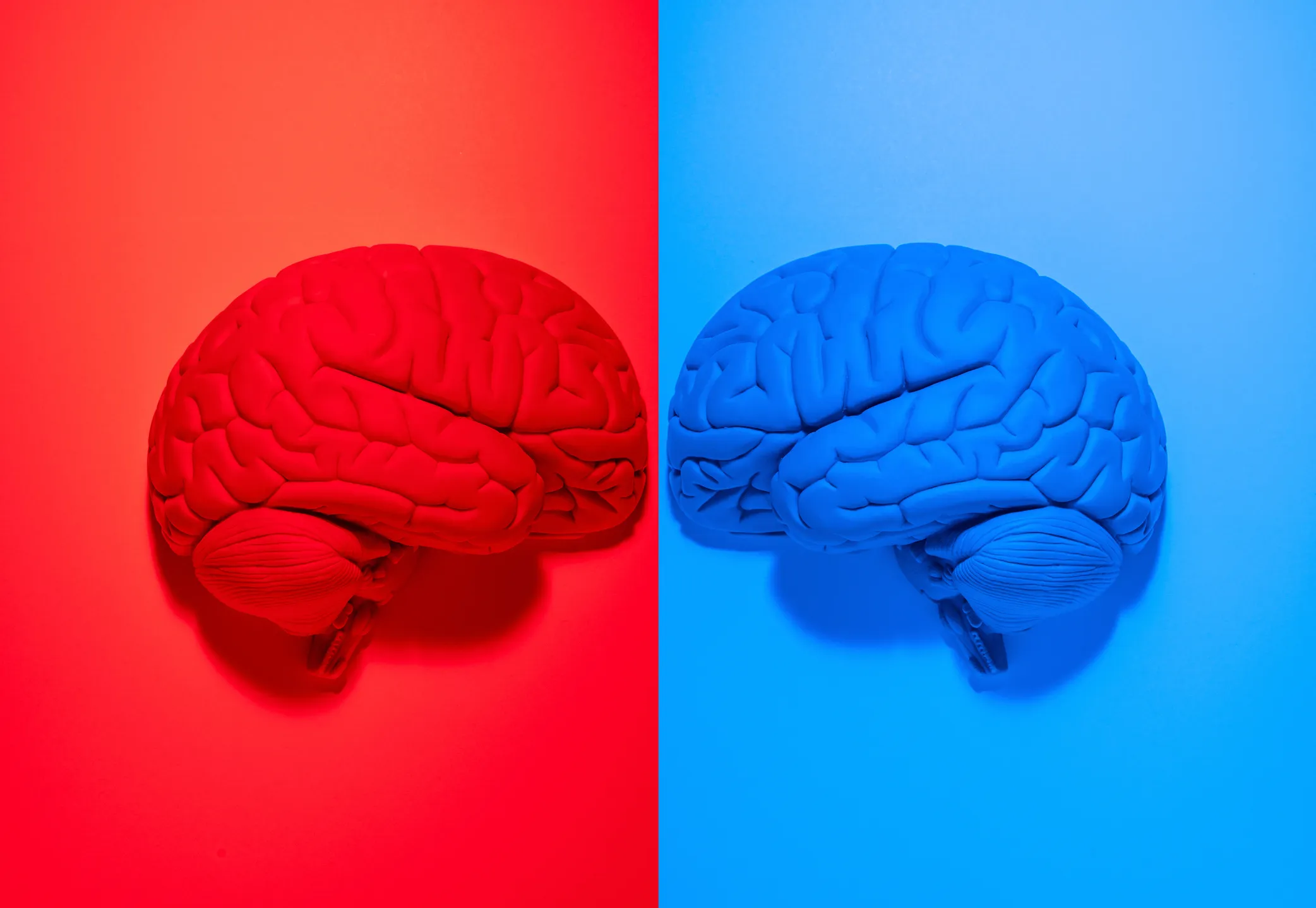 Red and blue brains facing off