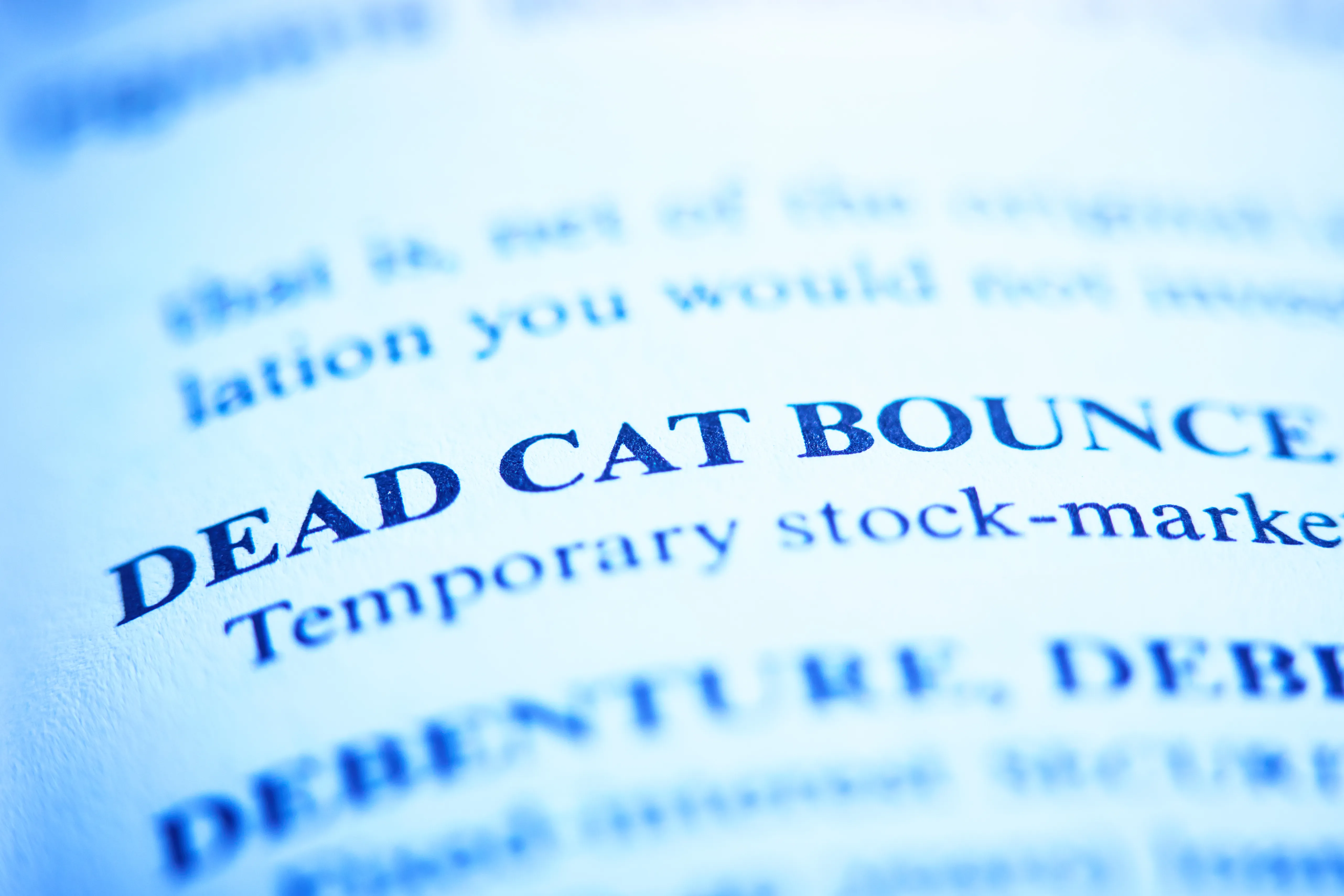 Close-up of the bold term DEAD CAT BOUNCE