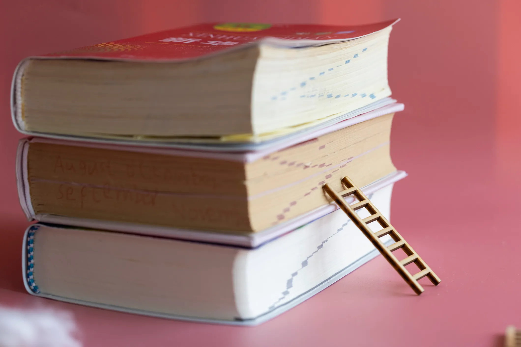 Ladder up stack of books