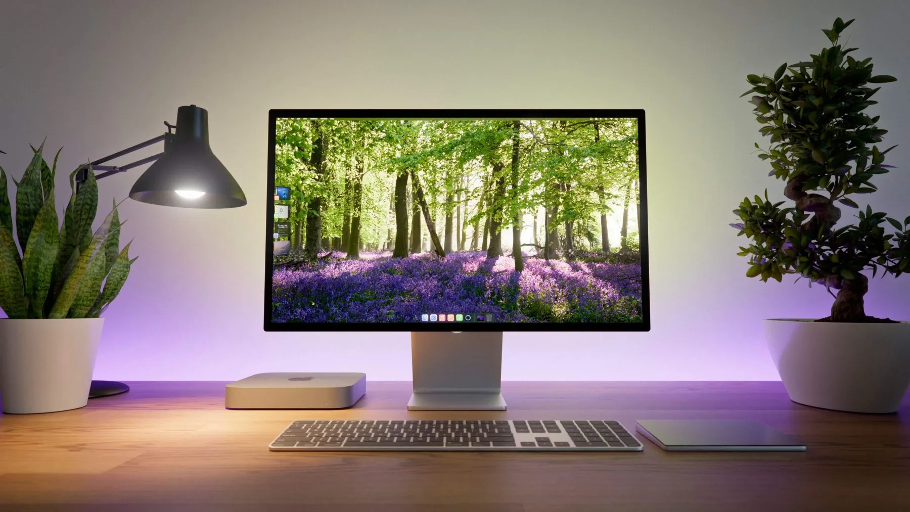 desktop computer flanked by a desk lamp and a potted plant