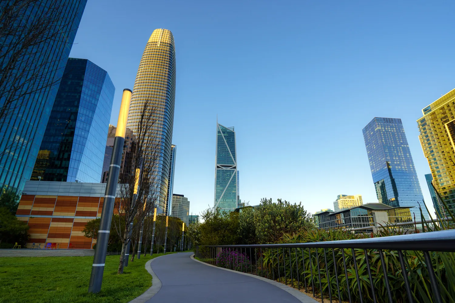 Green rooftop park in the heart of San Francisco amid the city's business district skyscrapers. Shown as a nature preserve in the state of California, United States