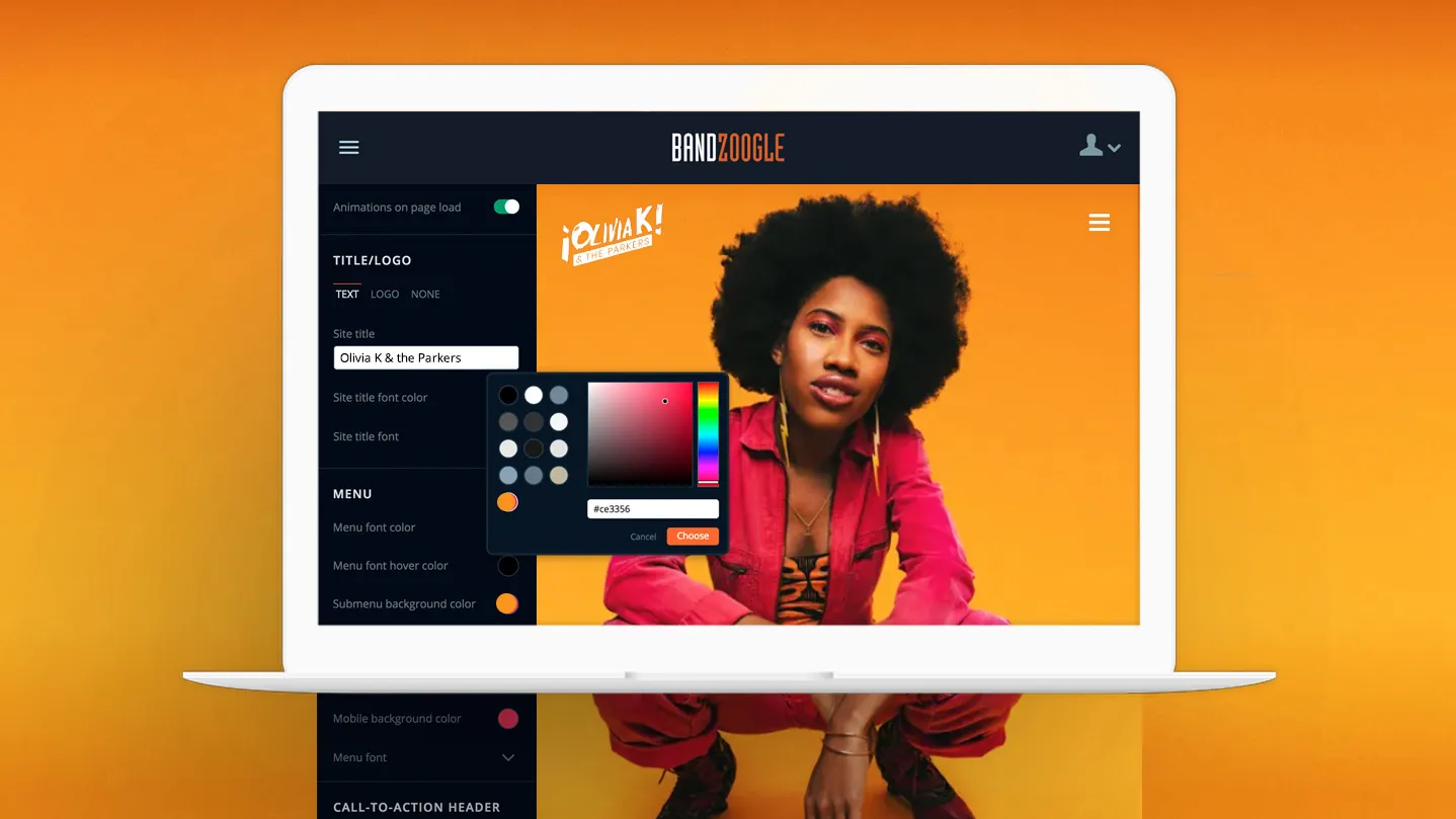 Bandzoogle website design