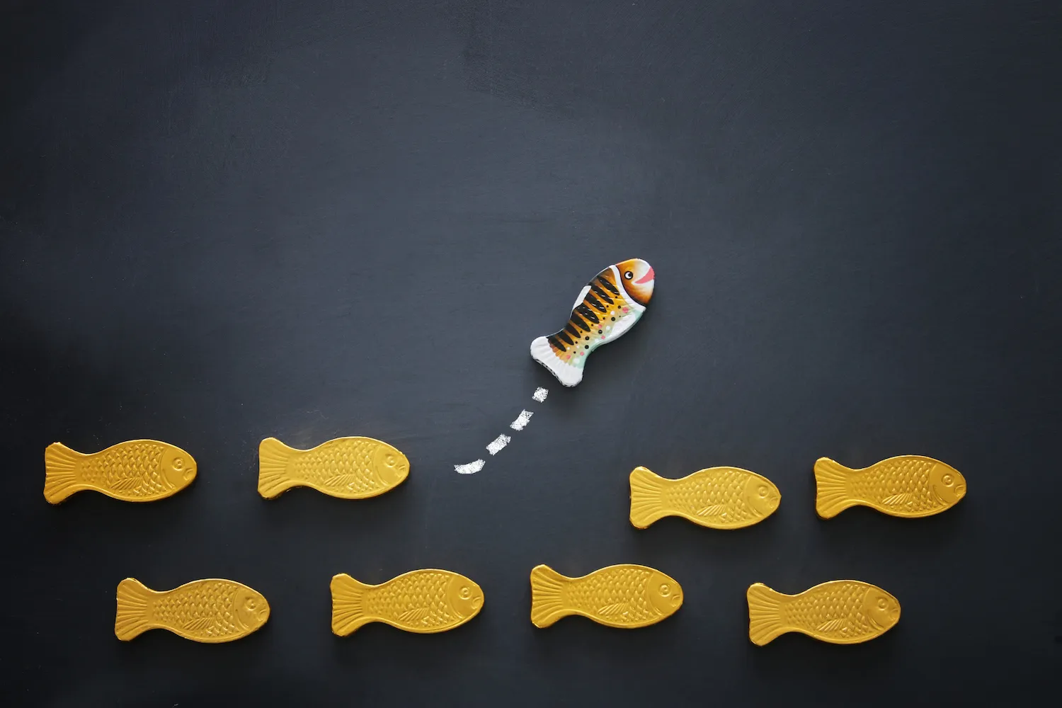 different fish swimming opposite way of identical ones. Courage and success concept. Blackboard background