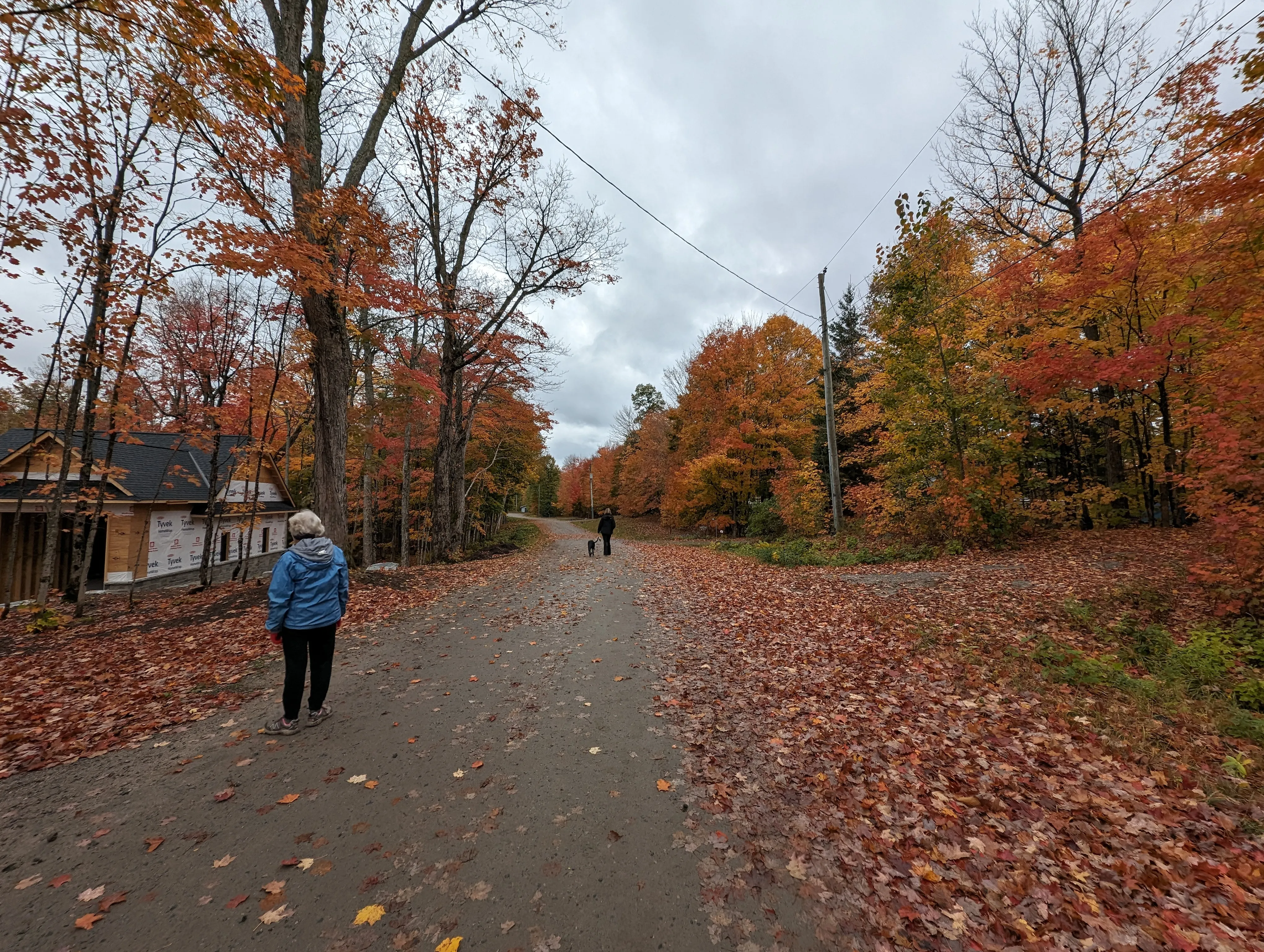 Woman walking down a road with fall foliage all around