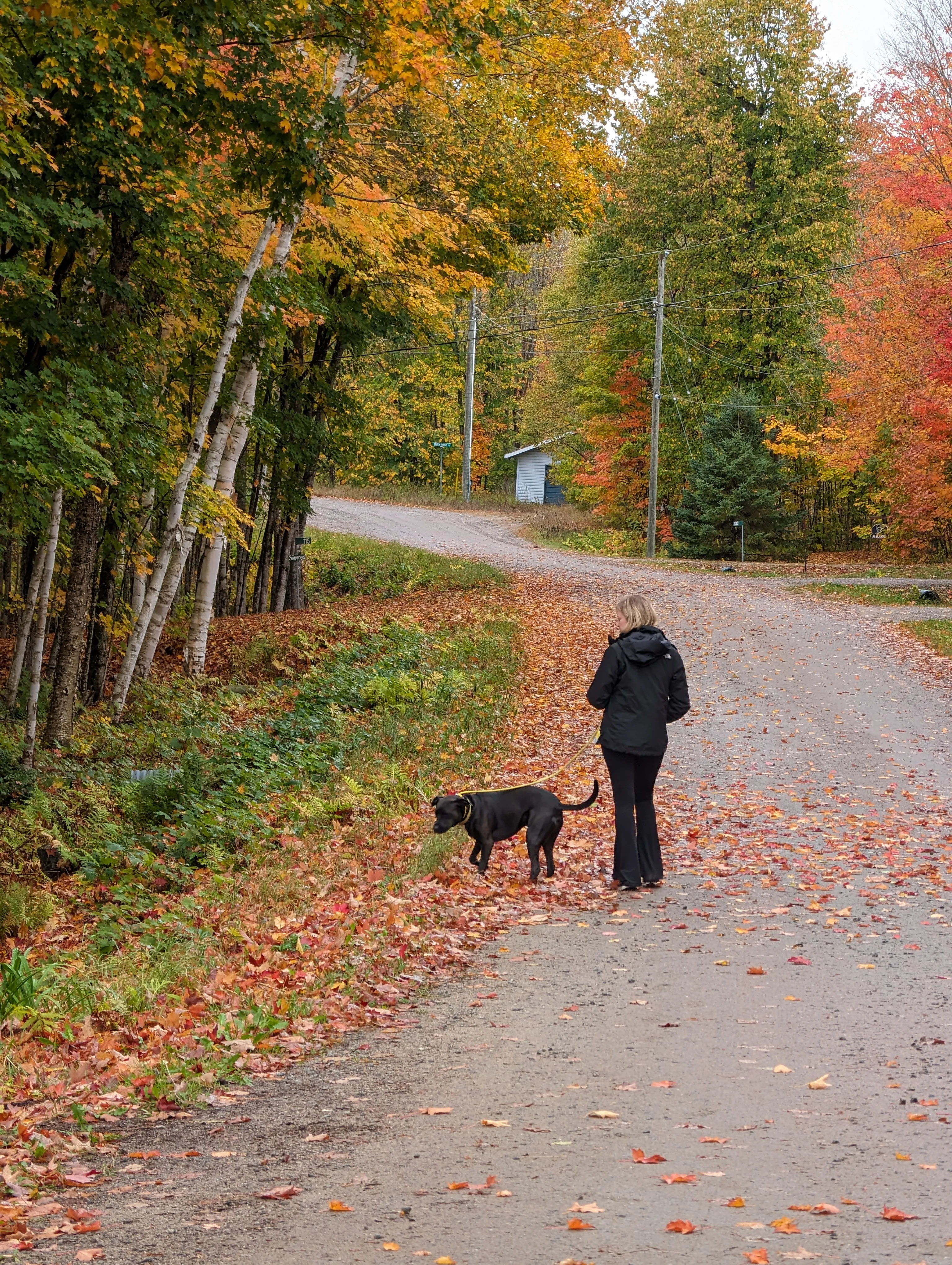 Google Pixel 8 Pro sample photo